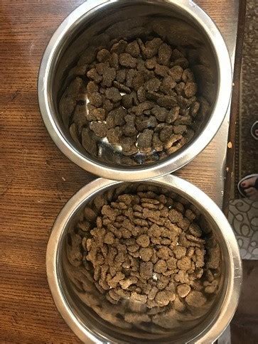 Gentle giants dog food reviews. Things To Know About Gentle giants dog food reviews. 